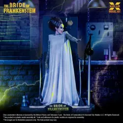 La Fiancée de Frankenstein figurine Plastic Model Kit 1/8 Bride of Frankenstein 21 cm | 4532149022385