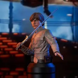 Star Wars Episode V buste 1/6 Luke Skywalker 15 cm | 0699788841976