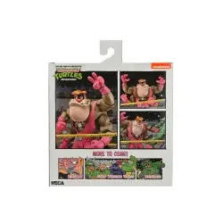 Tortues Ninja (Archie Comics) Delux figurine Cryin´ Houn´ 18 cm | 0634482544679