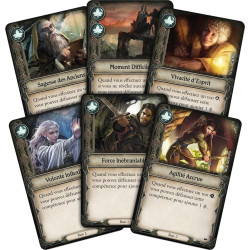 jeu : Le Seigneur des Anneaux - Voyages en Terre du Milieu
éditeur : Fantasy Flight Games
version française