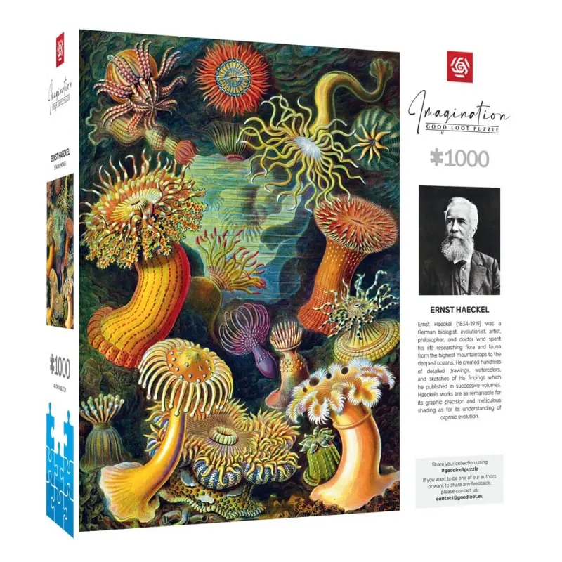 Ernst Haeckel puzzle Imagination Sea Anemones/Stworzenia morskie (1000 pièces) | 5908305244943