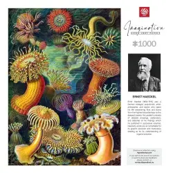 Ernst Haeckel puzzle Imagination Sea Anemones/Stworzenia morskie (1000 pièces) | 5908305244943