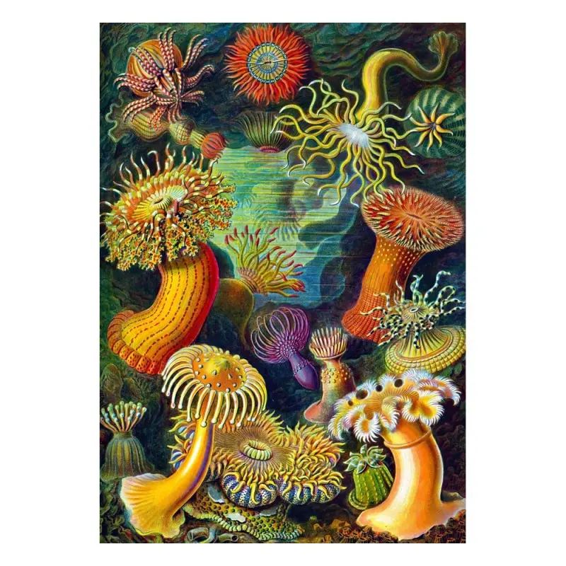 Ernst Haeckel puzzle Imagination Sea Anemones/Stworzenia morskie (1000 pièces) | 5908305244943