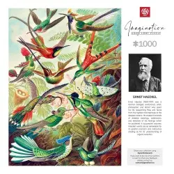 Ernst Haeckel puzzle Imagination Hummingbirds/Kolibry (1000 pièces) | 5908305246794