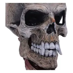 Metallica statuette Pushead Skull 24 cm | 0801269146825