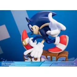 Sonic Adventure statuette PVC Sonic the Hedgehog Collector's Edition 23 cm | 5060316626900