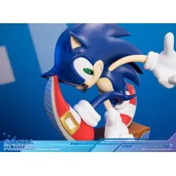 Sonic Adventure statuette PVC Sonic the Hedgehog Collector's Edition 23 cm | 5060316626900