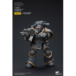 Warhammer The Horus Heresy figurine 1/18 Space Wolves Grey Slayer Pack Grey Slayer 3 12 cm | 6973130376076