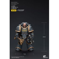 Warhammer The Horus Heresy figurine 1/18 Space Wolves Grey Slayer Pack Grey Slayer 3 12 cm | 6973130376076