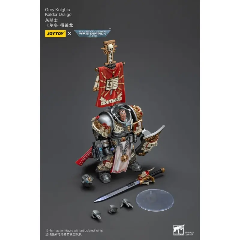 Warhammer 40k figurine 1/18 Grey Knights Kaldor Draigo 14 cm | 6927054400201