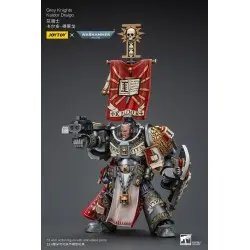 Warhammer 40k figurine 1/18 Grey Knights Kaldor Draigo 14 cm | 6927054400201