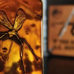 Jurassic Park Lingot de Collection Mosquito in Amber Limited Edition  | 5060662468568