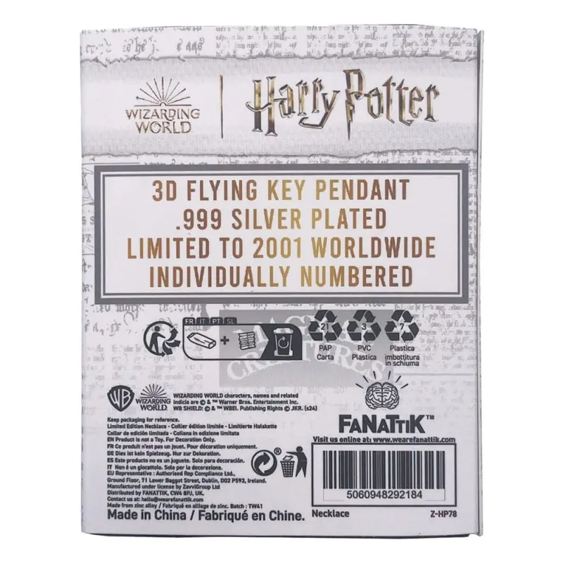 Harry Potter pendentif et collier Flying Key | 5060948292184