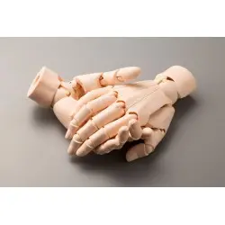 Takahiro Kagami Artist Support Item Hand PVC 1/1 Model/R Pale Orange 21 cm | 4934054063109