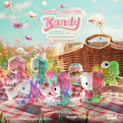 Sanrio Floral Daydream Series Kandy 4 inch Vinyl Figuur Blind Box Display (6)