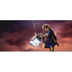 De legende van Zelda Breath of the Wild-beeldje PVC Link 25 cm | 5060316620830