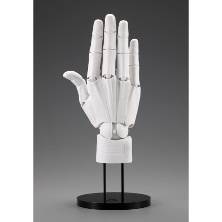 Takahiro Kagami Artist Support Item Hand PVC 1/1 Model Heren /R Wit 22 cm | 4934054070770