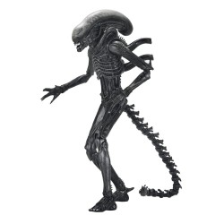 Action figures | MagicFranco 