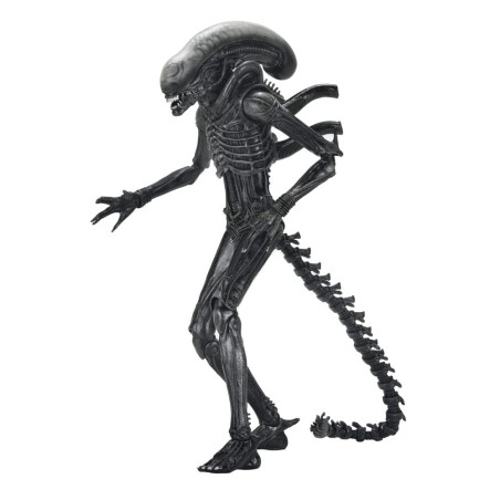 Alien: Romulus Ultimate Xenomorph XX121 Figure 18 cm | 0634482517420