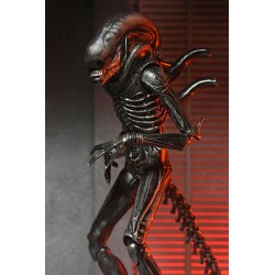 Alien: Romulus Ultimate Xenomorph XX121 Figure 18 cm | 0634482517420