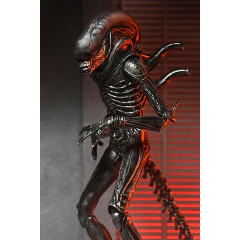 Alien: Romulus Ultimate Xenomorph XX121 Figure 18 cm | 0634482517420
