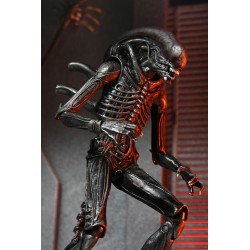 Alien: Romulus Ultimate Xenomorph XX121 Figure 18 cm | 0634482517420