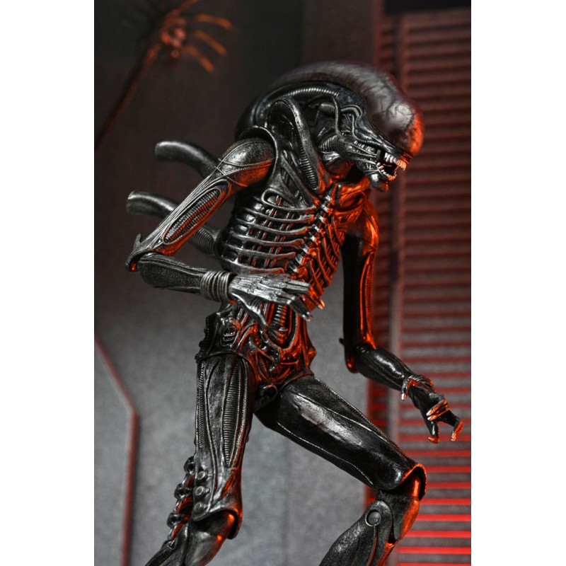 Alien: Romulus Ultimate Xenomorph XX121 Figure 18 cm | 0634482517420
