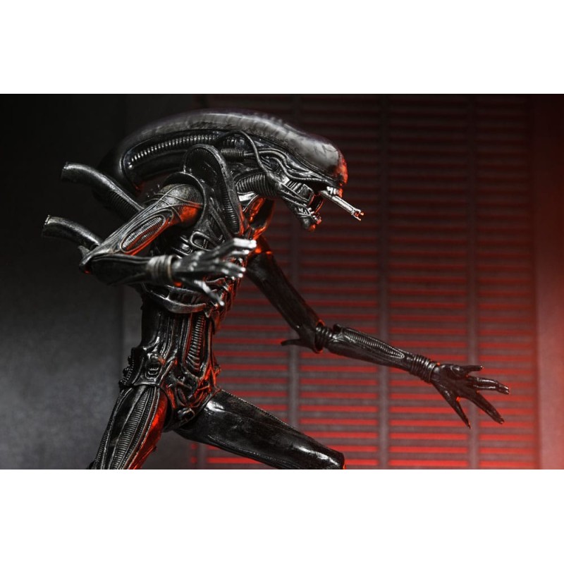 Alien: Romulus Ultimate Xenomorph XX121 Figure 18 cm | 0634482517420