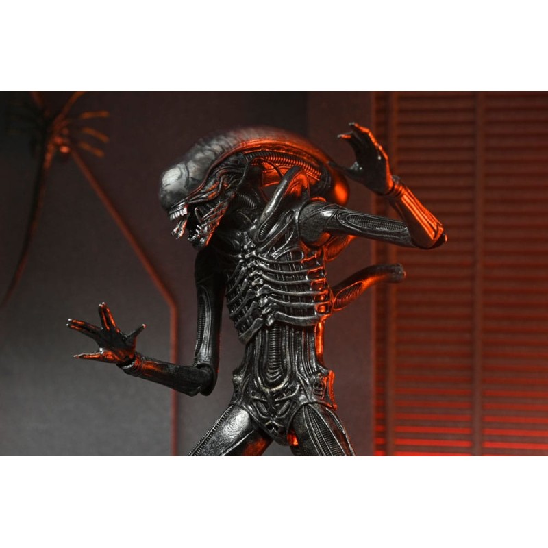 Alien: Romulus Ultimate Xenomorph XX121 Figure 18 cm | 0634482517420