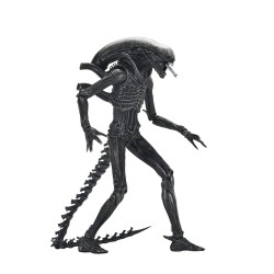 Alien: Romulus Ultimate Xenomorph XX121 Figure 18 cm | 0634482517420