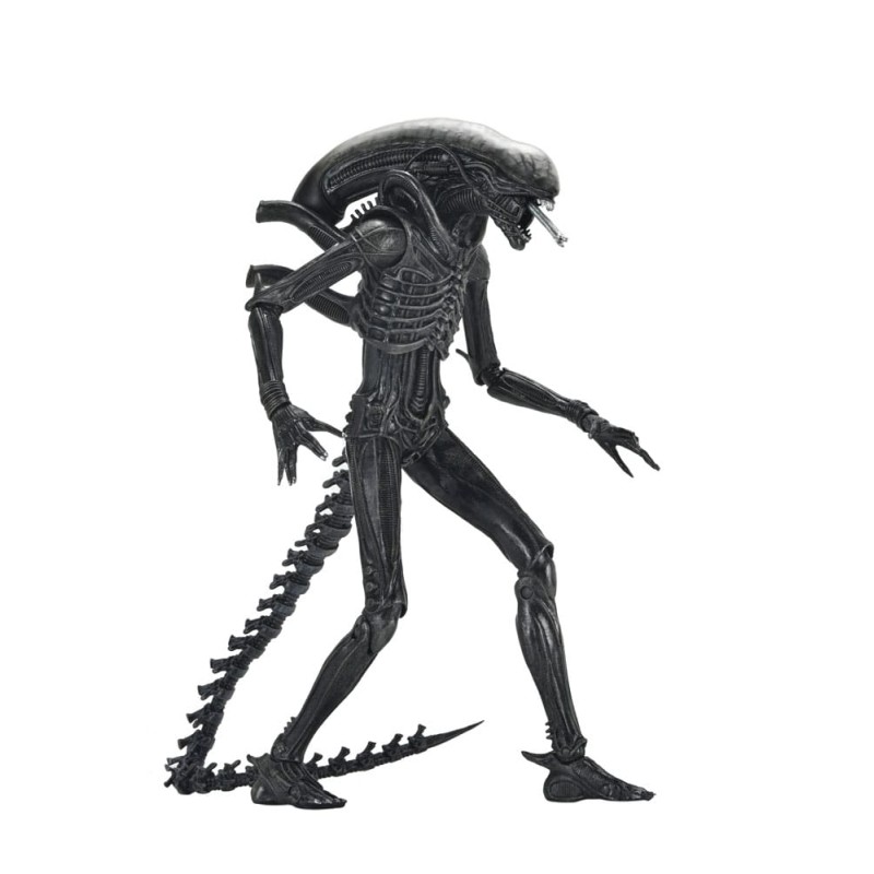 Alien: Romulus Ultimate Xenomorph XX121 Figure 18 cm | 0634482517420