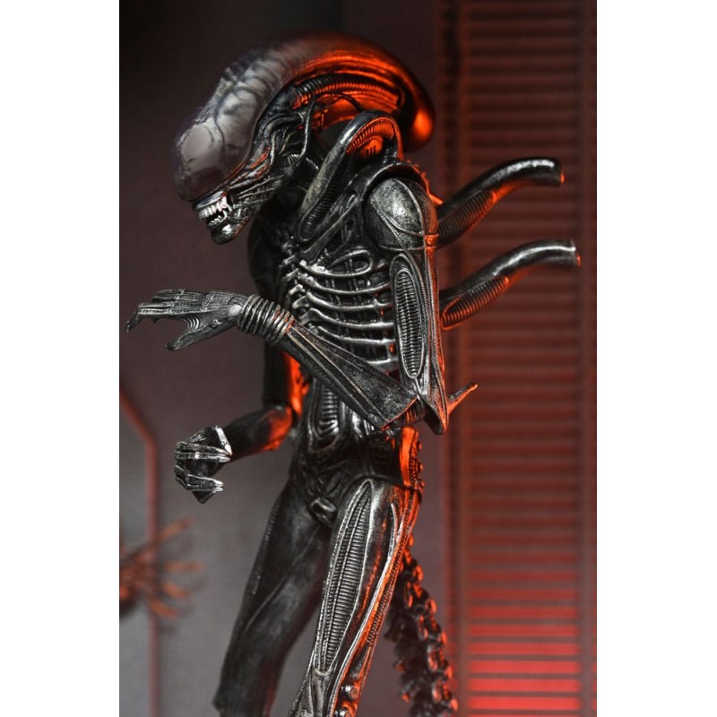 Alien: Romulus Ultimate Xenomorph XX121 Figure 18 cm | 0634482517420