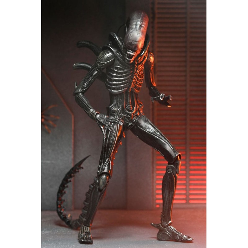 Alien: Romulus Ultimate Xenomorph XX121 Figure 18 cm | 0634482517420