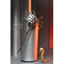 Alien: Romulus figurine Ultimate Xenomorph XX121 18 cm | 0634482517420