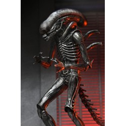 Alien: Romulus Ultimate Xenomorph XX121 Figure 18 cm | 0634482517420