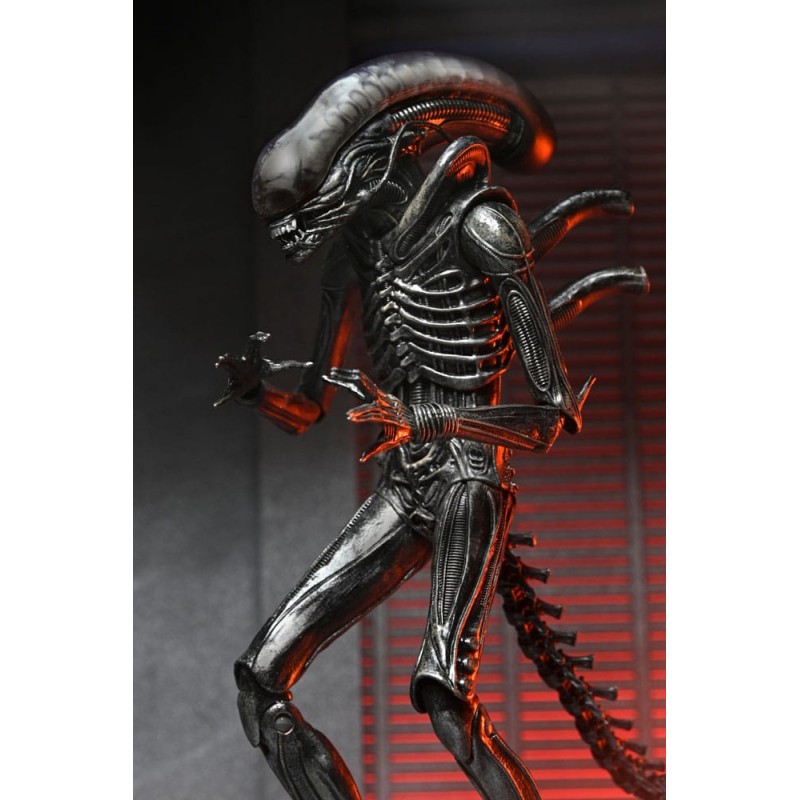 Alien: Romulus Ultimate Xenomorph XX121 Figure 18 cm | 0634482517420
