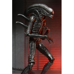 Alien: Romulus Ultimate Xenomorph XX121 Figure 18 cm | 0634482517420
