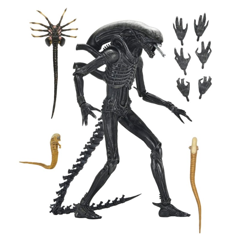 Alien: Romulus Ultimate Xenomorph XX121 Figure 18 cm | 0634482517420