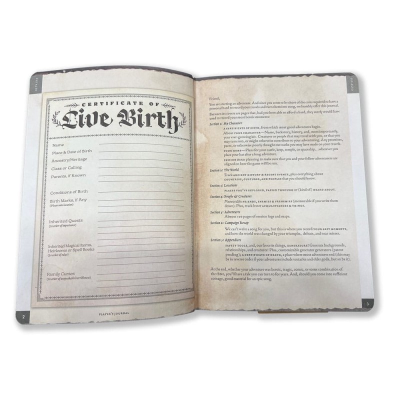 A5 Player's Journal Sage Green Shield Notebook | 9781955133104
