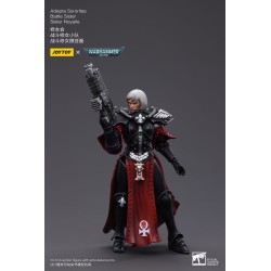 Warhammer 40k figurine 1/18 Adepta Sororitas Battle Sister Sister Noyalle 10 cm | 6973130373884
