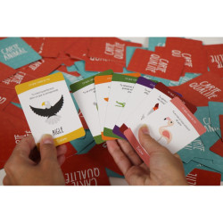 jeu : Totem éditeur : Totem Inc. version française