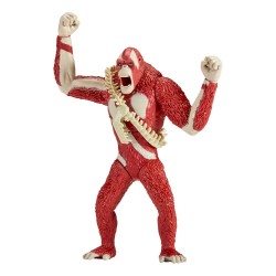 Action figures | MagicFranco 