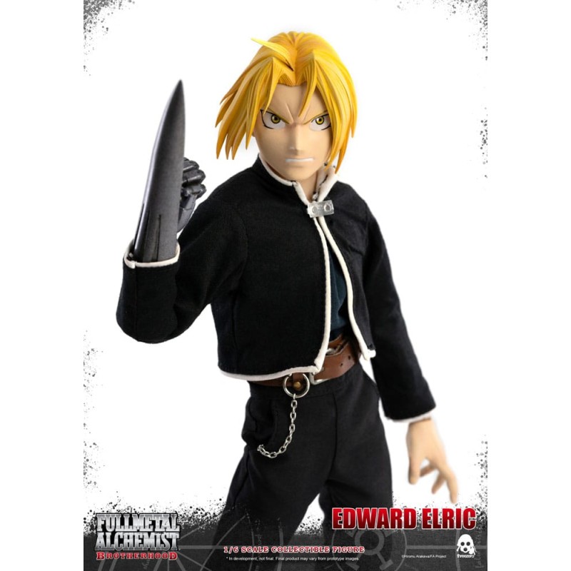 Fullmetal Alchemist: Brotherhood pack 2 figurines 1/6 Alphonse & Edward Elric Twin Pack | 4895250812307