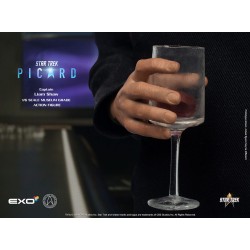 Star Trek: Picard Action Figure 1/6 Captain Liam Shaw 30 cm | 0656382803052