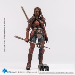 The Walking Dead: The Ones Who Lived Exquisite Mini Action Figure 1/18 Michonne 10 cm   | 6957534203589