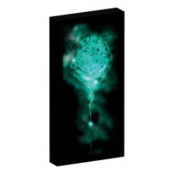 Posters & wallscrolls | MagicFranco 