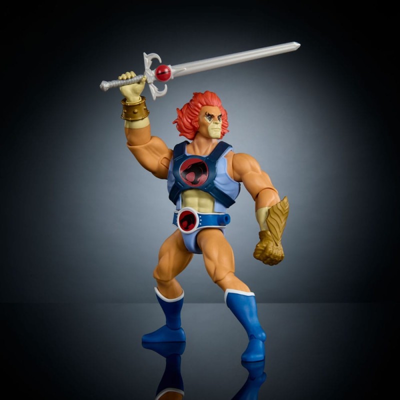 Masters of the Universe x ThunderCats figurine Deluxe Lion-O 14 cm | 0194735307678