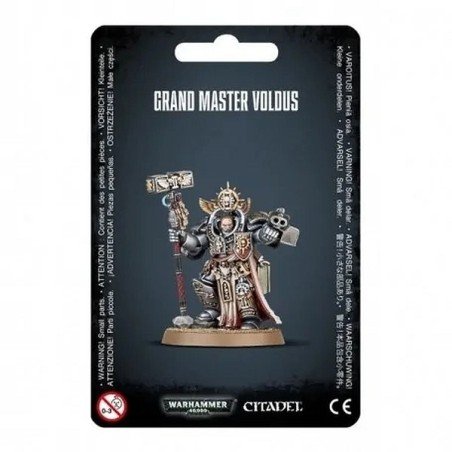 Warhammer 40,000 - Grey Knight as Grand Master Voldus