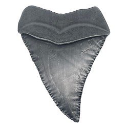 Jaws Medallion 50th Anniversary Shark Tooth | 5060948297356