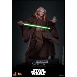 Star Wars, épisode III : La Revanche des Sith figurine Movie Masterpiece 1/6 Saesee Tiin 31 cm | 4895228622266
